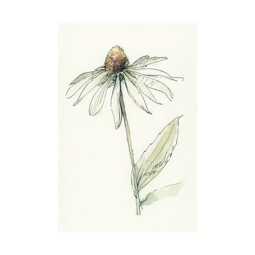 101885-L - Echinacea II by Mercana Studio a Hand Embellished Textured Canvas