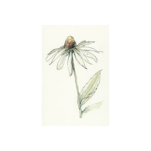 Echinacea II by Mercana Studio a Hand Embellished Textured Canvas