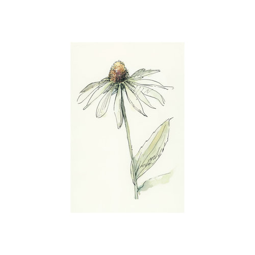 101885-S - Echinacea II by Mercana Studio a Hand Embellished Textured Canvas