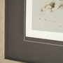 13326 - Rise & Shine II by Liz Jardine a Framed Art Print Matted under Glass