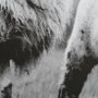 13348 - Islay Sheep I by Laura Marshall a Framed Photo Art Print Matted under Glass
