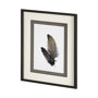 13352 - Feathered Friends by Nancy Crowell a Framed Art Print Matted under Glass