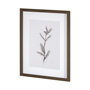 13491 - Olive Branch I by Gabrielle a Framed Art Print Matted under Glass