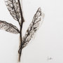 13491 - Olive Branch I by Gabrielle a Framed Art Print Matted under Glass