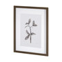 13492 - Olive Branch II by Gabrielle a Framed Art Print Matted under Glass
