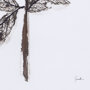 13492 - Olive Branch II by Gabrielle a Framed Art Print Matted under Glass