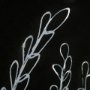 13475 - Flora IV by Mercana Studio a Hand Embellished Textured Framed Art Print Matted under Glass