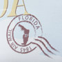 14056 - Florida Go USA (XL) by Mercana Studio a Hand Embellished Decograph Framed Art Print under Glass