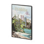 14047 - Florida Go USA (SM) by Mercana Studio a Hand Embellished Decograph Framed Art Print