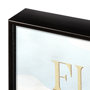 14047 - Florida Go USA (SM) by Mercana Studio a Hand Embellished Decograph Framed Art Print
