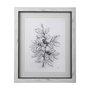 14073 - WildBerry Collection Blueberry by Mercana Studio Hand Embellished Framed Art Print Matted under Glas
