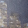 14067 - City Fox by Mercana Studio a Hand Embelished Textured Framed Art Print