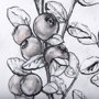 14071 - WildBerry Collection Hucklberry Mercana Studio Hand Embellished Framed Art Print Matted under Glass