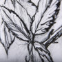 14072 - WildBerry Collection Blackberry Mercana Studio Hand Embellished Framed Art Print Matted under Glass