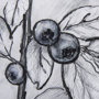 14073 - WildBerry Collection Blueberry by Mercana Studio Hand Embellished Framed Art Print Matted under Glas