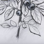 14073 - WildBerry Collection Blueberry by Mercana Studio Hand Embellished Framed Art Print Matted under Glas