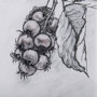 14074 - Saskatoonberry by Mercana Studio Hand Embellished Framed Art Print Matted under Glass