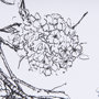 14082 - Spring Blooming IX by Mercana Studio a Hand Embellished Textured Framed Art Print Matted under Glass