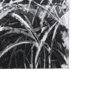 102098-S - Farm View I by Mercana Studio a Hand Embellished Textured Canvas