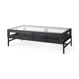 Arelius 49.5"L Rectangular Glass-Top Black-Brown Wood w/ Black Metal Base Display Coffee Table