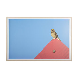 Morning Song by Mercana Studio a Hand Embellished Textured Framed Photo Art Print Matted under Glass