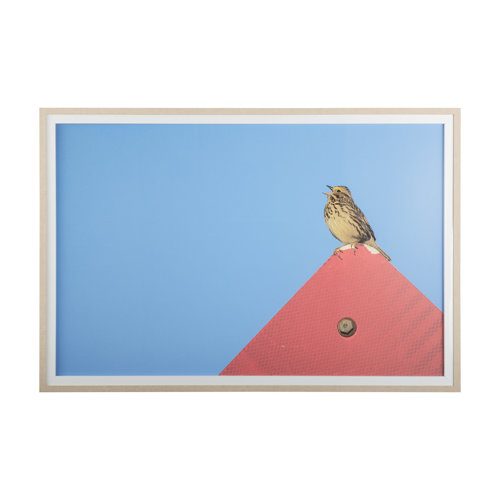 14093 - Morning Song by Mercana Studio a Hand Embellished Textured Framed Photo Art Print Matted under Glass