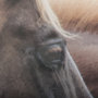 14105 - Bold Equine - Run by Mercana Studio a Hand Embellished Textured Framed Photo Art Print Matted under 