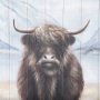 69756 - Wild Ox Painting on Wood