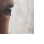 69757 - Horse Fringe Painting on Wood