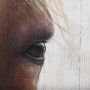 69757 - Horse Fringe Painting on Wood