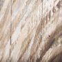 69757 - Horse Fringe Painting on Wood