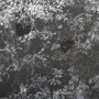 14179 - Grey & White Barn I by Mercana Studio Hand Embellished Textured Framed Photo Art Print Matted under 