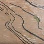 102119-L - Farmland Spring I by Mercana Studio a Hand Embellished Textured Canvas