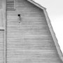 14180 - Grey & White Barn Ii by Mercana Studio Hand Embellished Textured Framed Photo Art Print Matted under