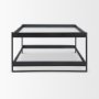 69786 - Trey 56"L x 32"W x 17"H Black Metal W/Glass Coffee Table