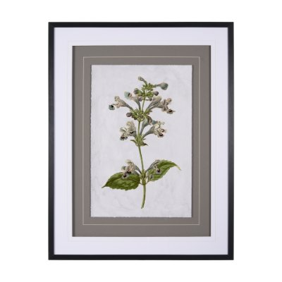 13966 - Soft Blue Botanoicals III by Mercana Studio Hand Embellished Framed Art Print Matted under Glass