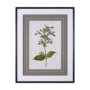 13966 - Soft Blue Botanoicals III by Mercana Studio Hand Embellished Framed Art Print Matted under Glass
