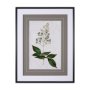 13967 - Soft Blue Botanoicals IV by Mercana Studio Hand Embellished Framed Art Print Matted under Glass
