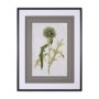 13969 - Soft Blue Botanoicals VI by Mercana Studio Hand Embellished Framed Art Print Matted under Glass