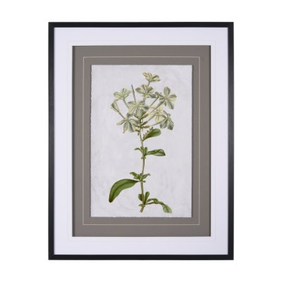 13970 - Soft Blue Botanoicals VII by Mercana Studio Hand Embellished Framed Art Print Matted under Glass