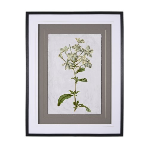 13970 - Soft Blue Botanoicals VII by Mercana Studio Hand Embellished Framed Art Print Matted under Glass