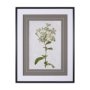 13970 - Soft Blue Botanoicals VII by Mercana Studio Hand Embellished Framed Art Print Matted under Glass
