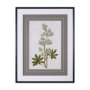 13971 - Soft Blue Botanoicals VIII by Mercana Studio Hand Embellished Framed Art Print Matted under Glass