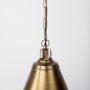 69344 - Fenton 18.0L x 18.0W x 23.0H Gold W/Gold Accents Pendant Light