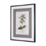 13966 - Soft Blue Botanoicals III by Mercana Studio Hand Embellished Framed Art Print Matted under Glass