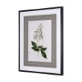 13967 - Soft Blue Botanoicals IV by Mercana Studio Hand Embellished Framed Art Print Matted under Glass