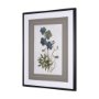 13968 - Soft Blue Botanoicals V by Mercana Studio Hand Embellished Framed Art Print Matted under Glass