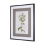 13970 - Soft Blue Botanoicals VII by Mercana Studio Hand Embellished Framed Art Print Matted under Glass