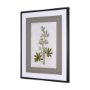13971 - Soft Blue Botanoicals VIII by Mercana Studio Hand Embellished Framed Art Print Matted under Glass