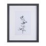 14207 - Leaf Shadow II by Mercana Studio a Hand Embellished Textured Framed Art Print Matted under Glass